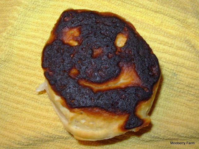 burnt biscuit